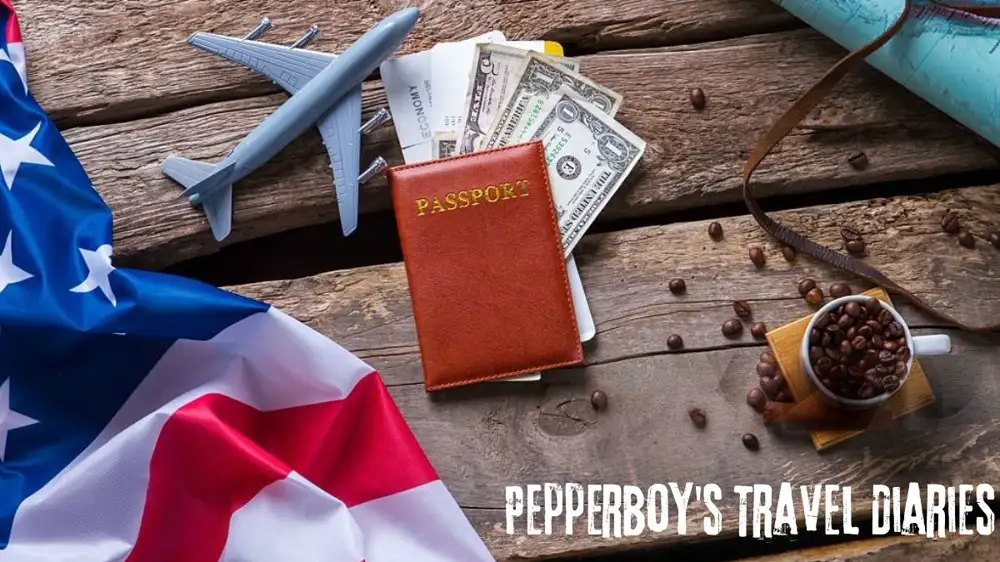 Pepperboy's Travel Diaries: An Exploration of Politicser.com