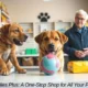 Pet Supplies Plus: A One-Stop Shop for All Your Pet Needs