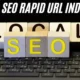 The Ultimate Guide to Local SEO Rapid URL Indexer: 7 Ways to Achieve Faster Website Indexing