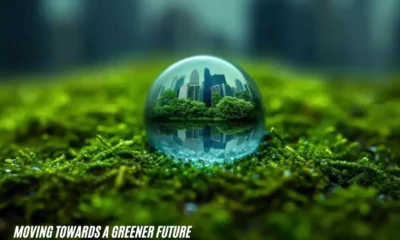 Moving Towards A Greener Future: How to Embrace Sustainability for a Better World