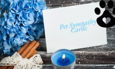 Understanding Pet Sympathy Cards: A Thoughtful Way to Express Compassion