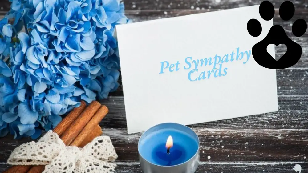 Understanding Pet Sympathy Cards: A Thoughtful Way to Express Compassion