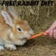 A Pellet-Free Rabbit Diet: 7 Reasons It's a Healthier Way to Feed Your Bunny