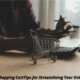 Shawn Conner Storefront Shopping Cart: 7 Key Tips for Streamlining Your Online Business