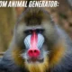 Discover the Power of a Random Animal Generator: 5 Creative Ways to Use It