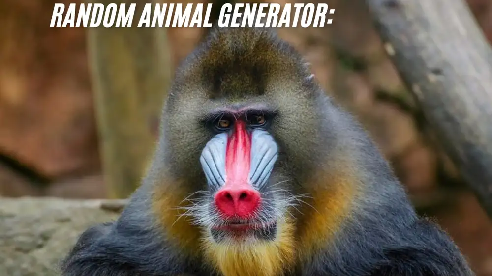 Discover the Power of a Random Animal Generator: 5 Creative Ways to Use It