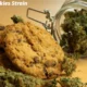 Animal Cookies Strain: 7 Powerful Insights into Its Origins, Effects, and Benefits