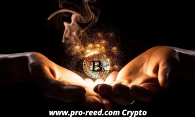 www.pro-reed.com Crypto: An Universal Information to Its Characteristics, Protection, and Futures