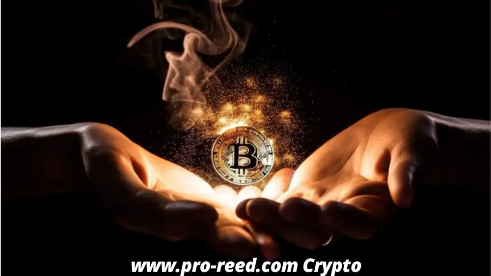 www.pro-reed.com Crypto: An Universal Information to Its Characteristics, Protection, and Futures