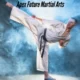 Apex Future Martial Arts: The Combat Training's Future