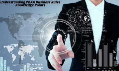 Understanding PDAA Business Rules Knowledge Points