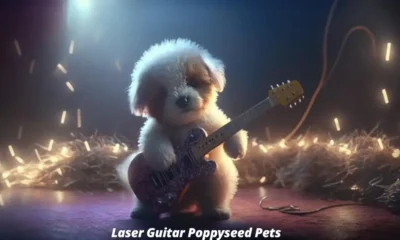 Laser Guitar Poppyseed Pets: An Exciting New Trend Blending Technology, Music, and Pet Care