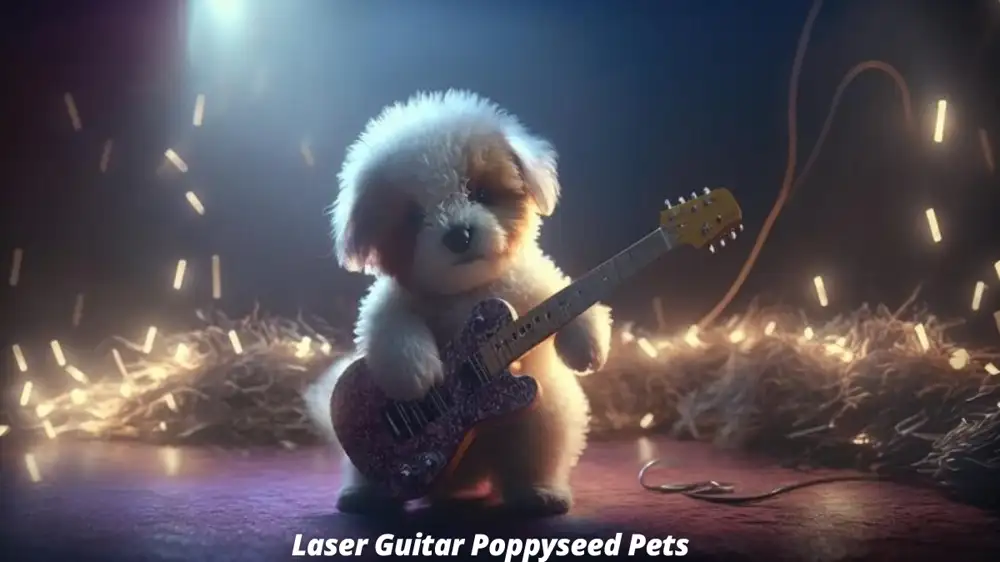 Laser Guitar Poppyseed Pets: An Exciting New Trend Blending Technology, Music, and Pet Care