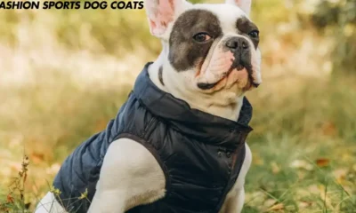 Fashion Sports Dog Coats: The Ultimate Guide to Stylish and Functional Wardrobe for Your Furry Friend