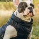 Fashion Sports Dog Coats: The Ultimate Guide to Stylish and Functional Wardrobe for Your Furry Friend