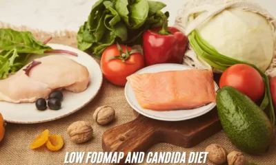 Low FODMAP and Candida Diet: A Comprehensive Guide to Digestive Health