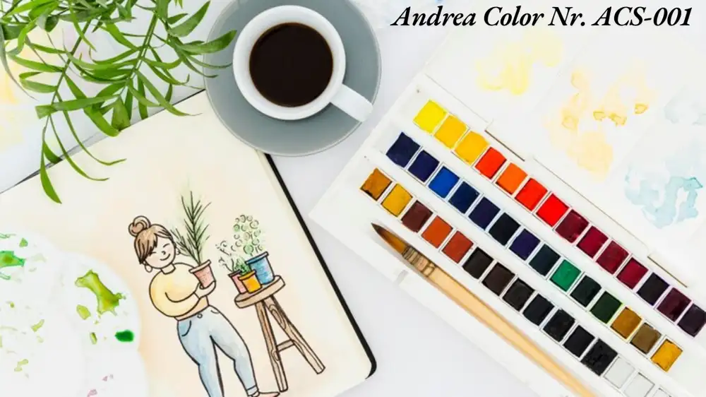 Andrea Color Nr. ACS-001: The Ultimate Guide to a Must-Have Paint for Artists and Hobbyists