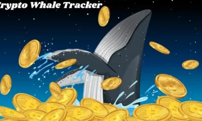 Crypto Whale Tracker