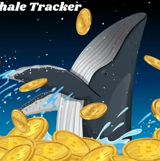 Crypto Whale Tracker