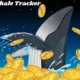 Crypto Whale Tracker