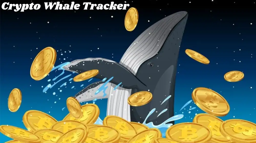 Crypto Whale Tracker